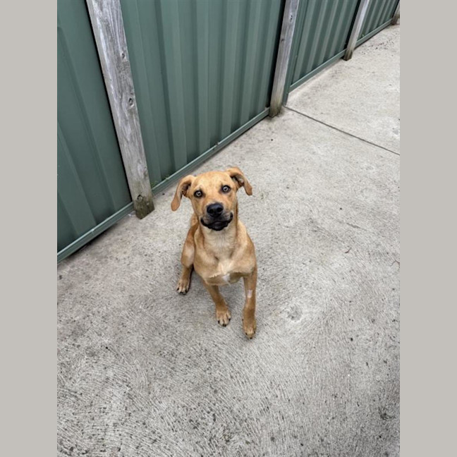 Photo of Roo