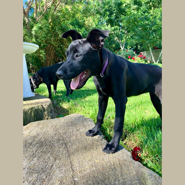 Photo of Storm