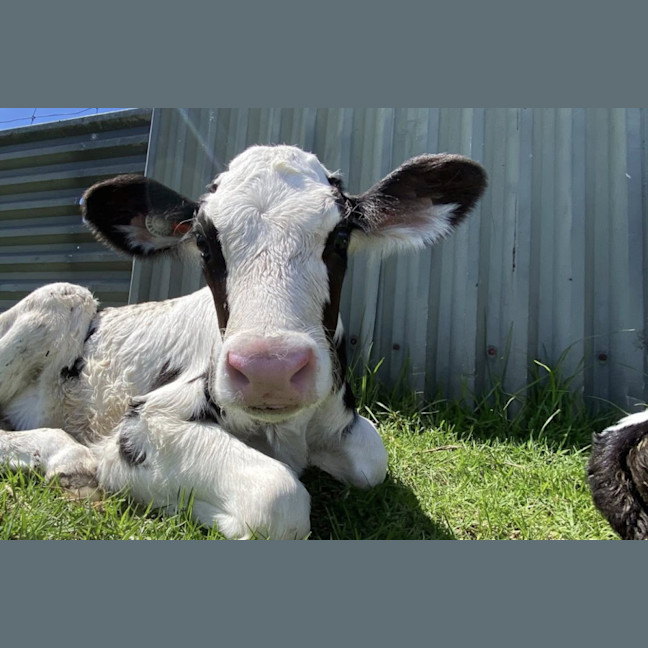 Photo of Benson And Arthur