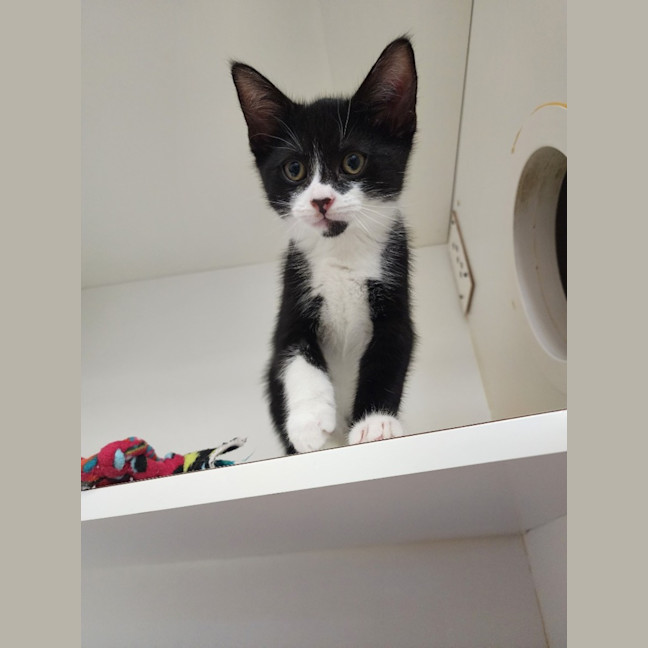 Photo of Disney  Crew