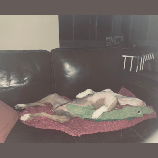 Photo of Brian Mannix