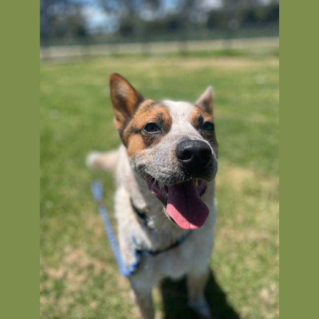 Photo of Charlie Arnold