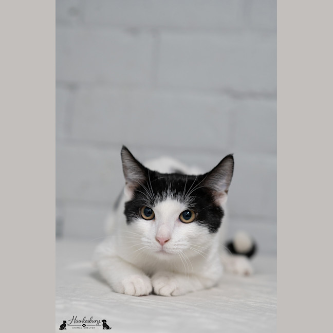 Photo of Jenny