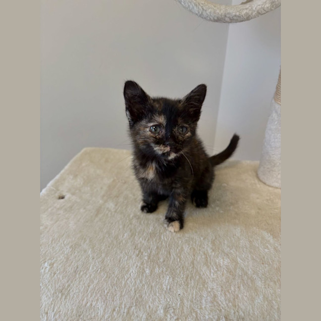 Photo of Stormi