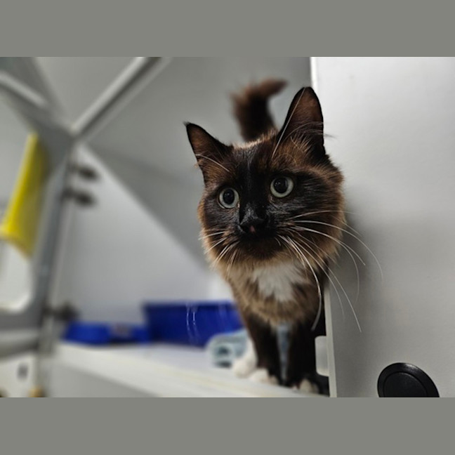 Photo of Sabrina