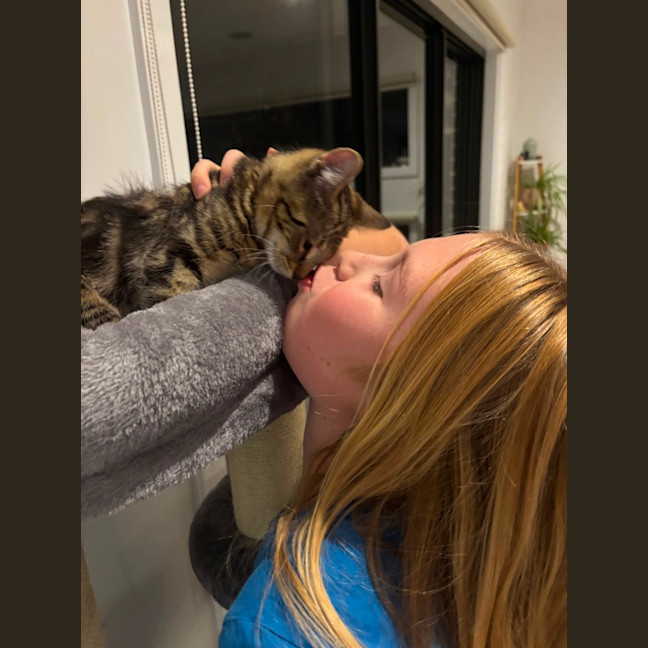 Photo of Tigger Meet Me@ Adoption Day 17/5