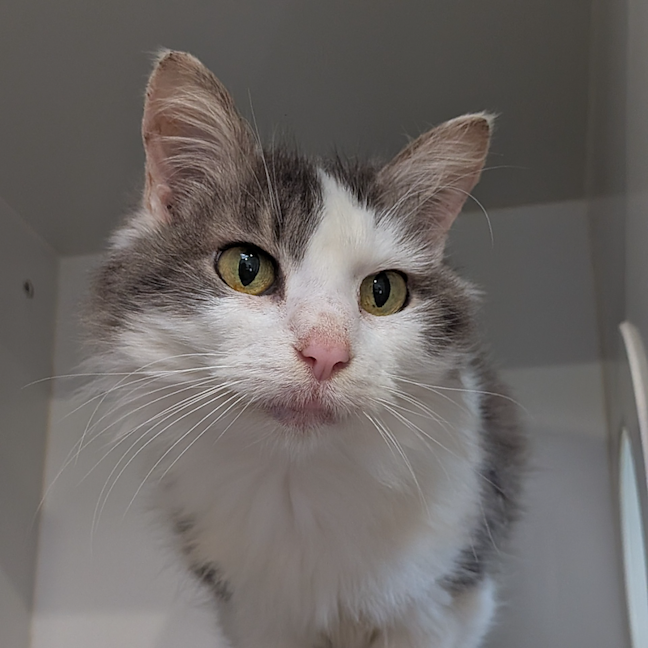 Photo of Missy