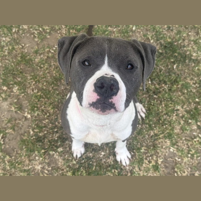 Photo of Xena Imp 2431