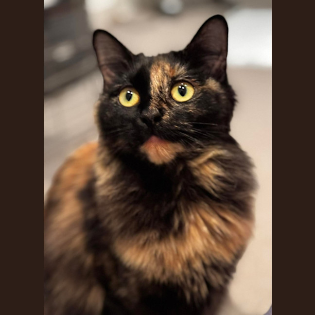 Photo of Ruby