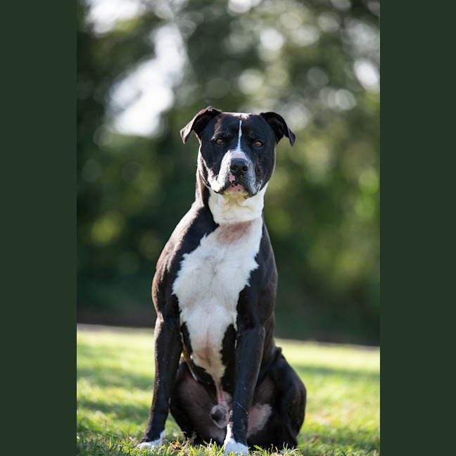 Photo of Jethro