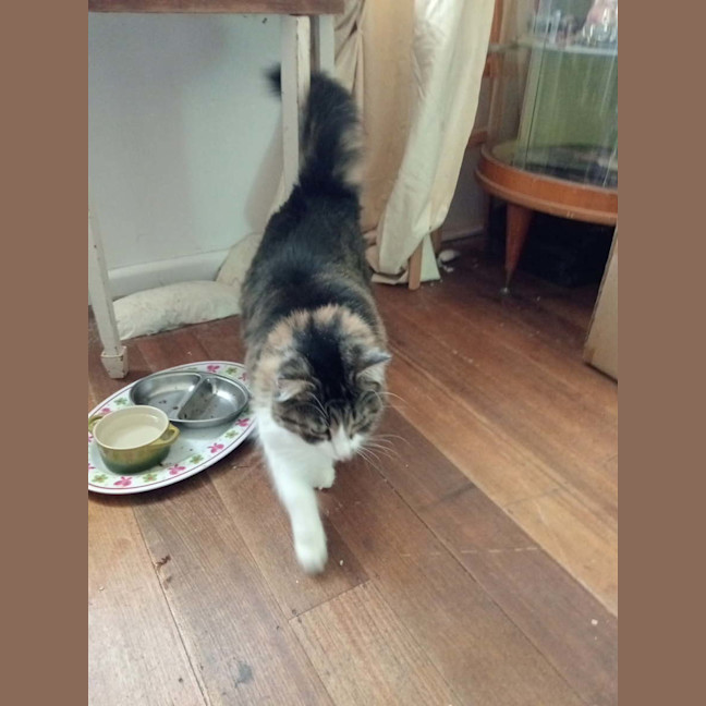 Photo of Ms. Ida Mae