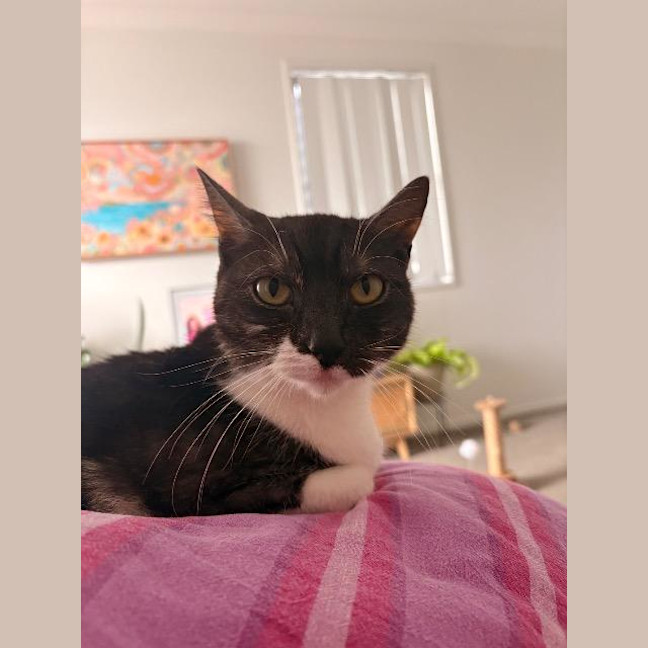 Photo of Maggie