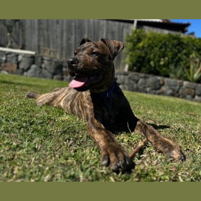 Photo of Benson 