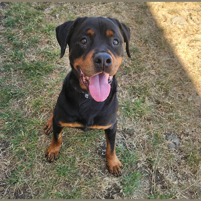 Photo of Lunar (66650)