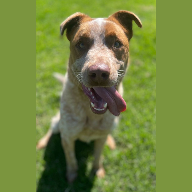 Photo of Leroy Vieth