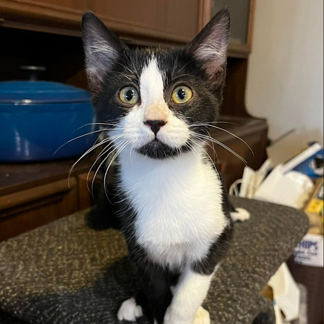 Photo of Clawdia