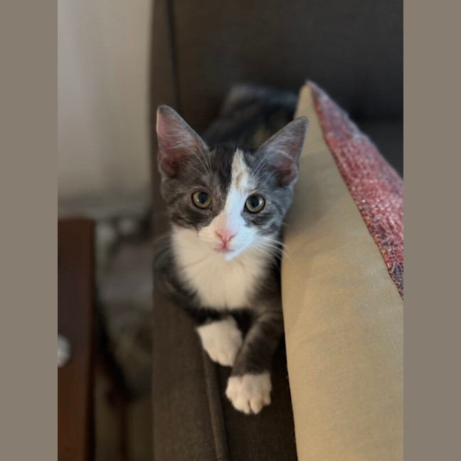Photo of Amy