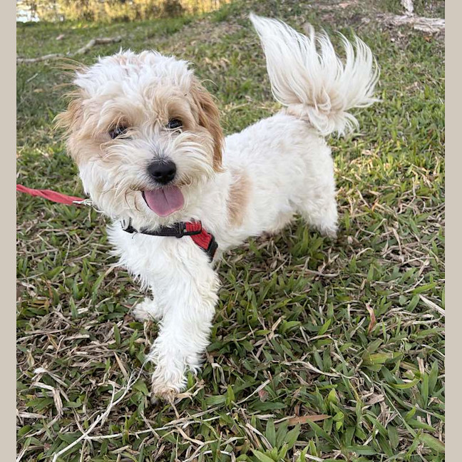Photo of Twix