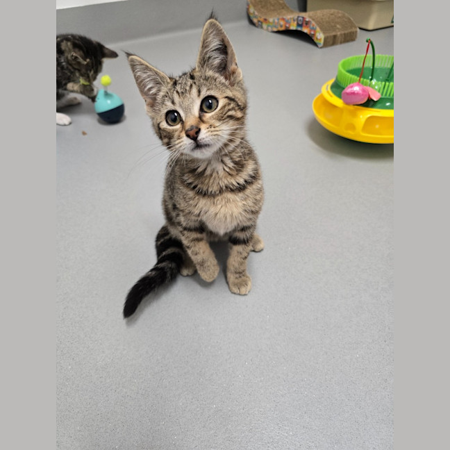 Photo of Dazza   Burnie