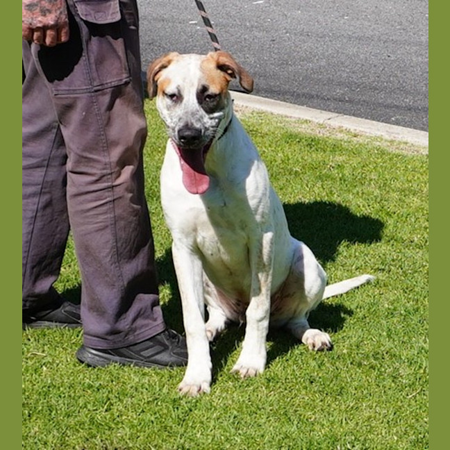 Photo of Ricky Bobby