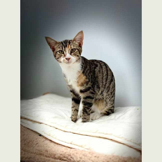 Photo of Gretel