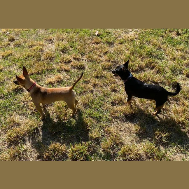 Photo of Norman & Hilda 