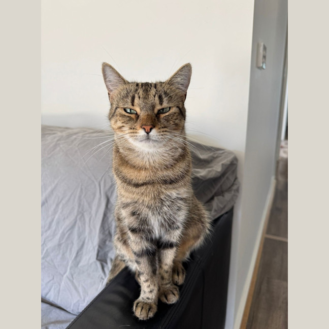Photo of Winnie