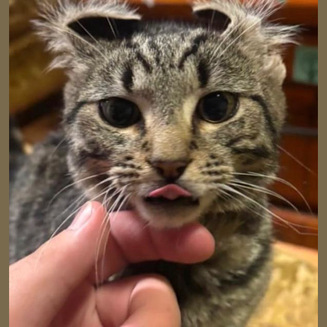 Photo of Grug