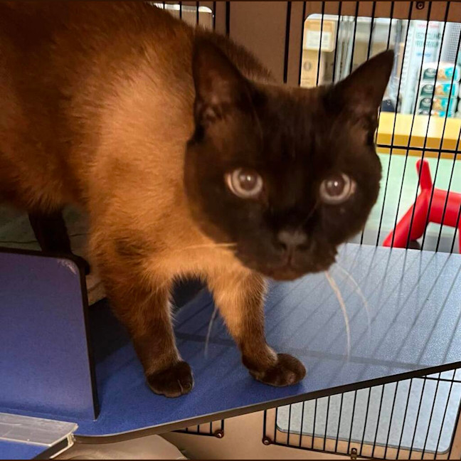 Photo of Sammy