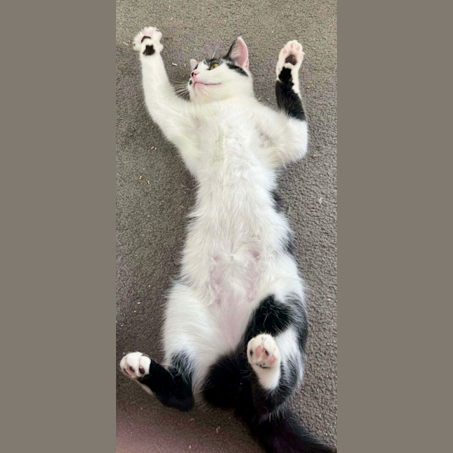 Photo of Rocket Scott