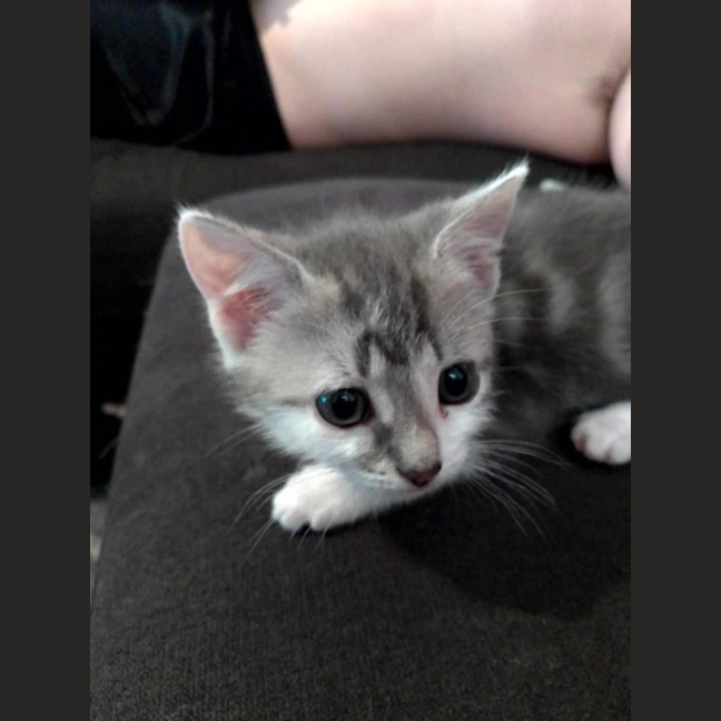 Photo of Emmi