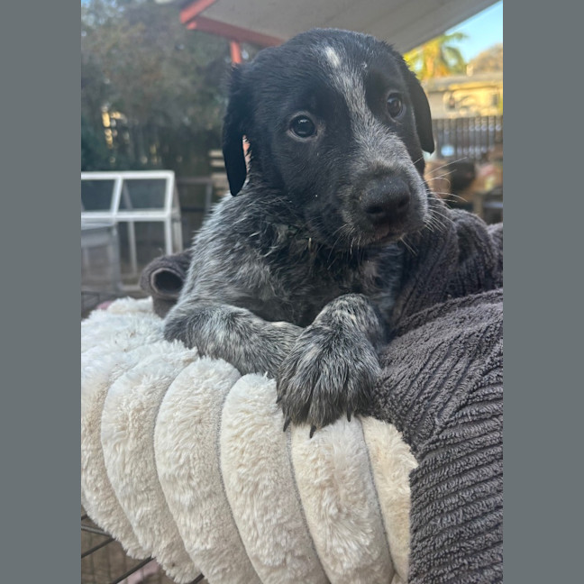 Photo of Bronx