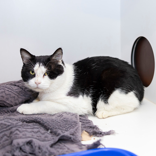 Photo of Andrew Garfield 