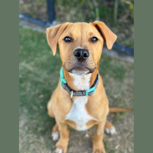 Photo of Butters