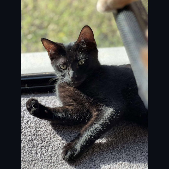 Photo of Tucker