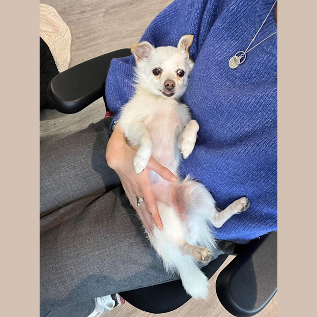 Photo of Maggie