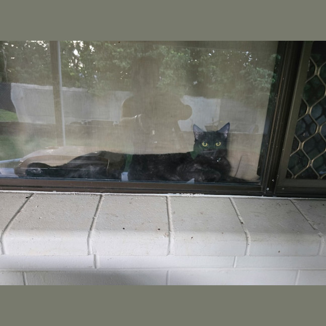 Photo of Yahtzee