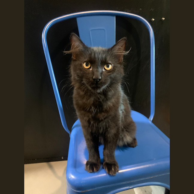 Photo of Marley Zane