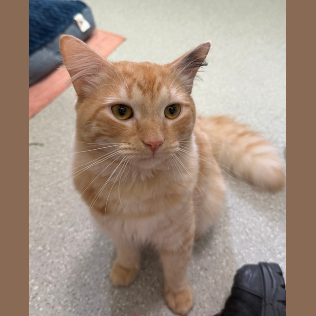 Photo of Alvin