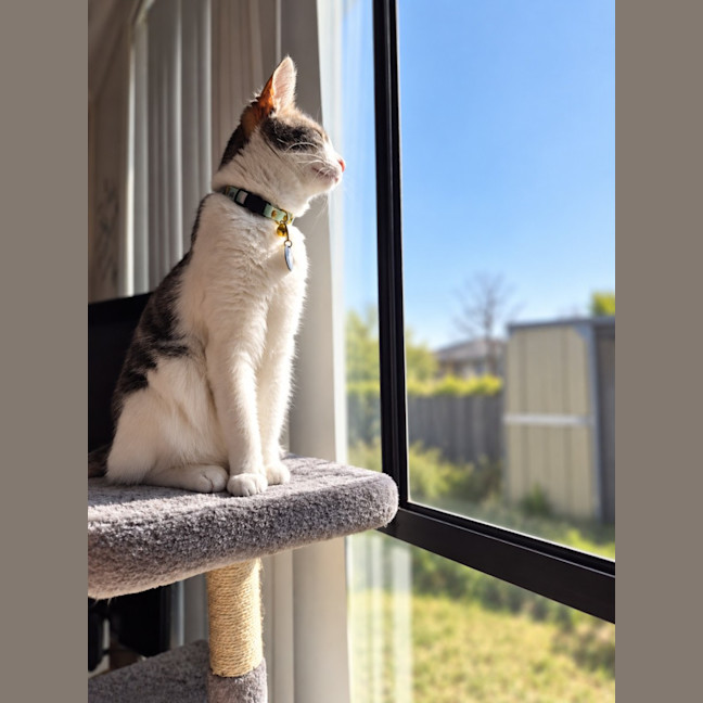 Photo of Little Miss