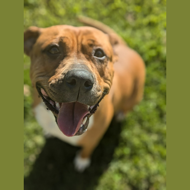 Photo of 🍄 Marley 5313 🍄