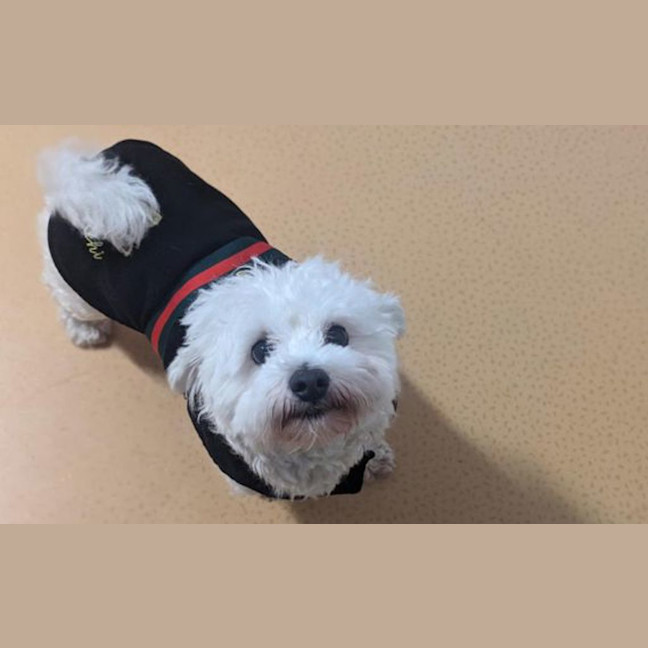 Photo of Max
