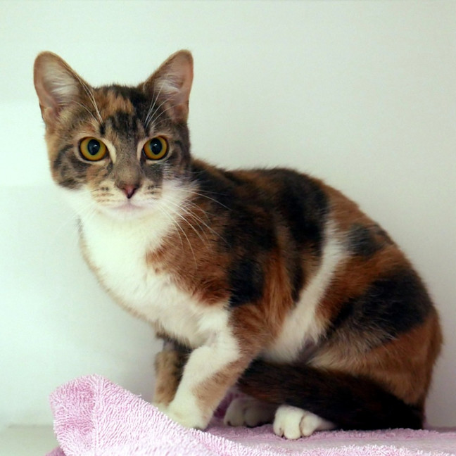 Photo of Alice Suk014070