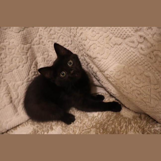 Photo of Ellie