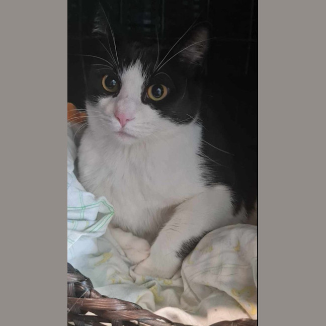 Photo of Sammy