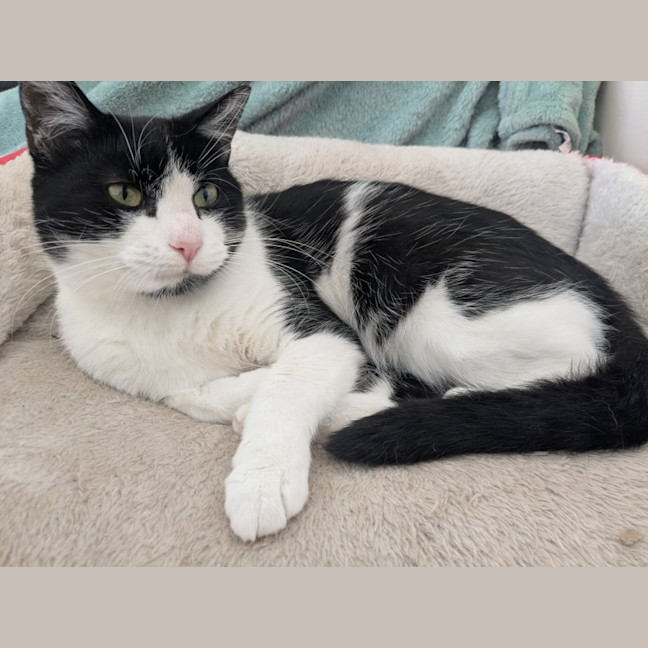 Photo of Mitzi