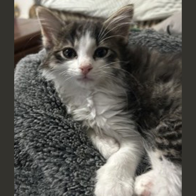 Photo of Morty
