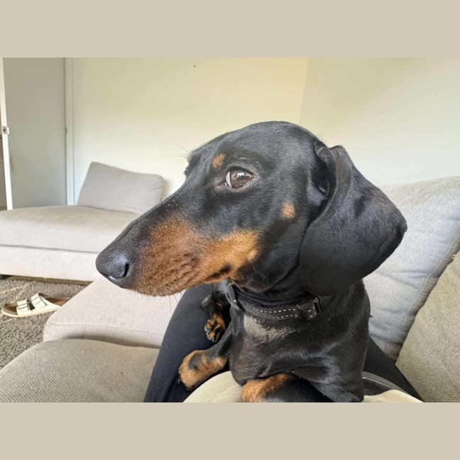 Photo of Mia