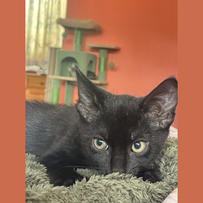 Photo of Frodo