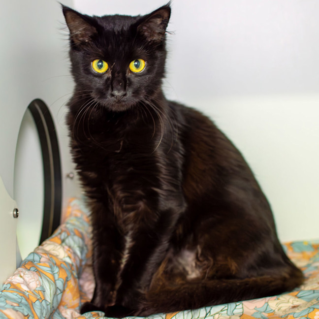 Photo of Cleo